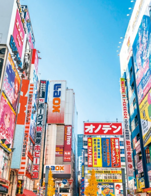 MAGIC GIAPPONE - TOKYO - KYOTO - HAKONE