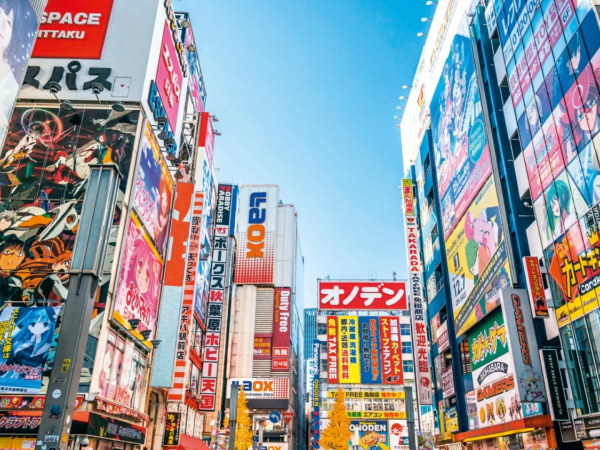 MAGIC GIAPPONE - TOKYO - KYOTO - HAKONE