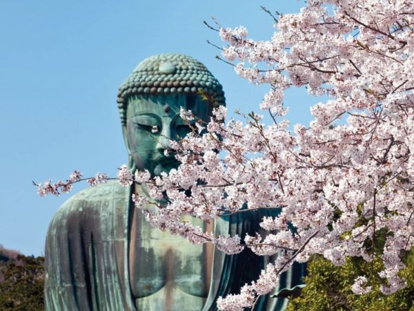 MAGIC GIAPPONE - TOKYO - KYOTO - HAKONE
