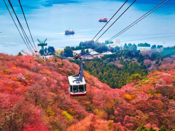MAGIC GIAPPONE - TOKYO - KYOTO - HAKONE