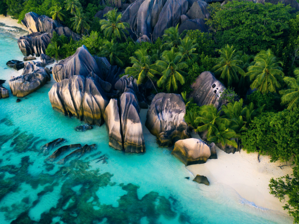 NIVA LABRIZ SEYCHELLES