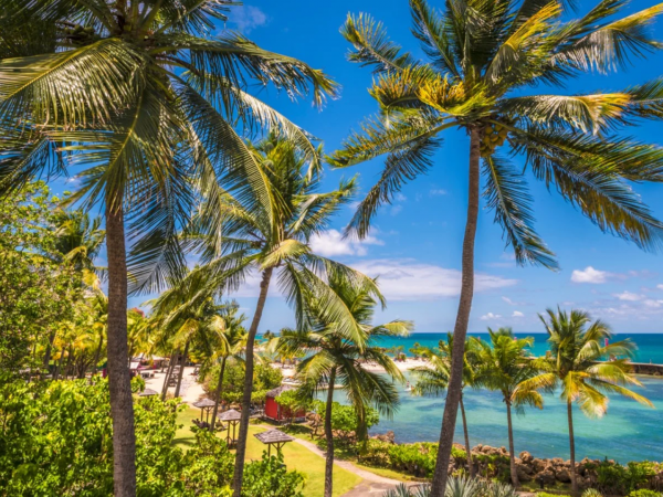 MAHOGANY HOTEL RESIDENCE &SPA