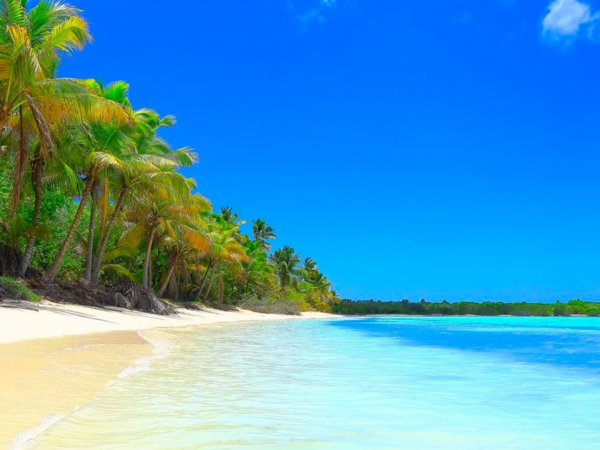 COSTA FASCINOSA - CARAIBI E ANTILLE 