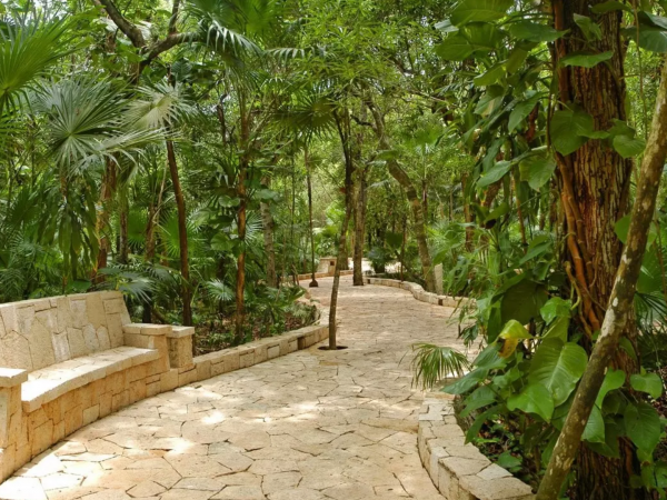 TOUR YUCATAN