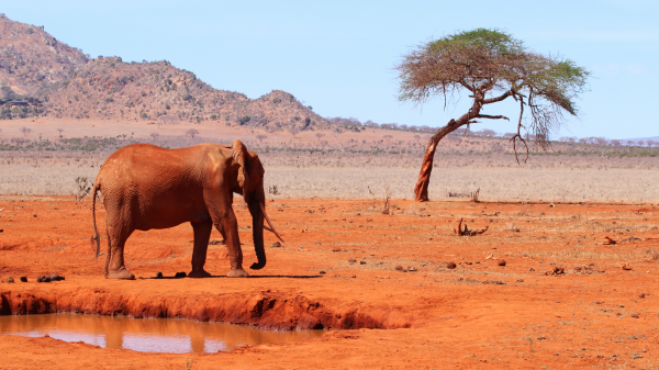 Kenya