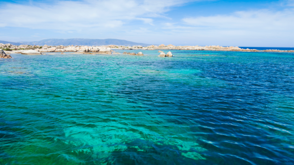 Mediterraneo